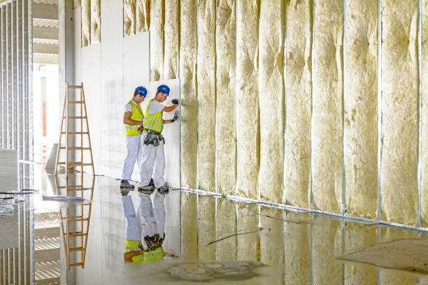 Best Blown-In Insulation  in Longmont, CO